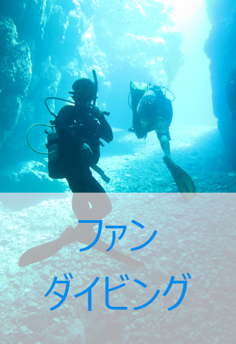 ファンダイビングはこちらから