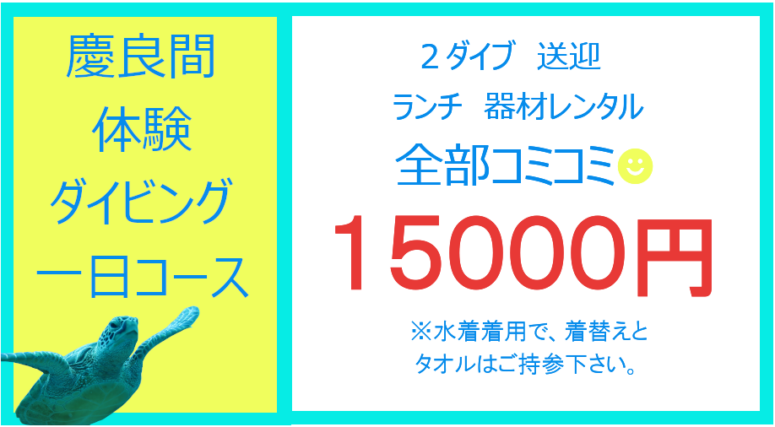 慶良間体験ダイビング一日コース料金