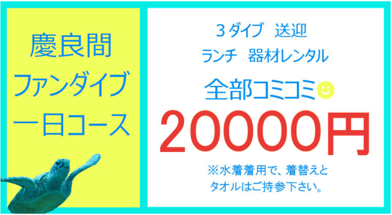 慶良間ファンダイビング一日コース料金